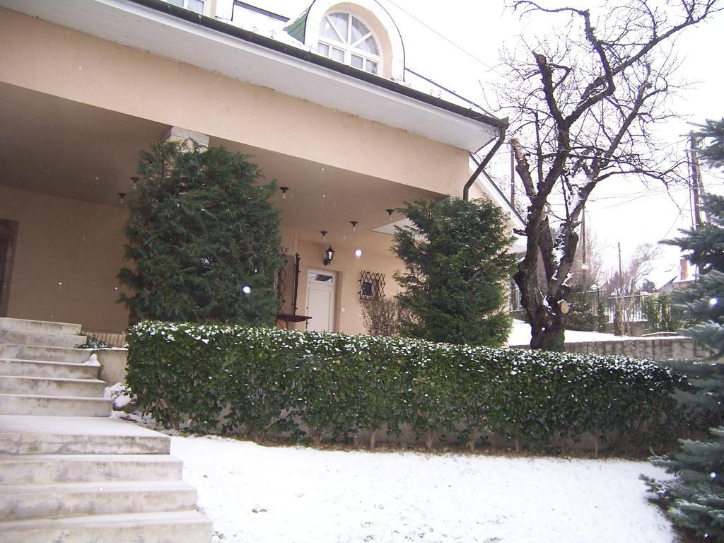 Villa Szekely Леоньфолу Екстер'єр фото